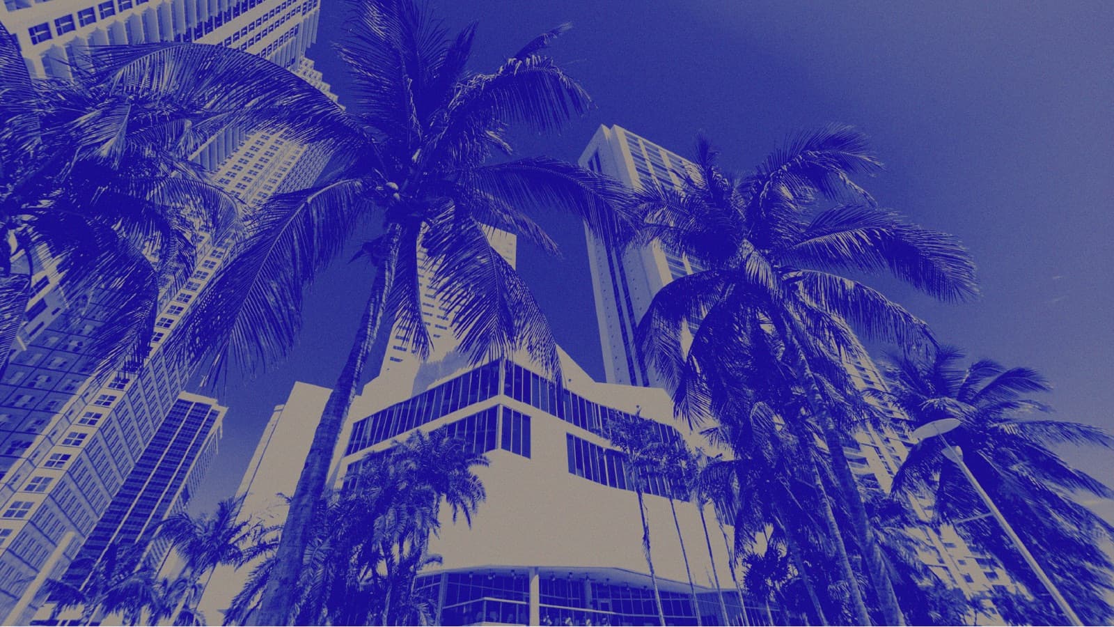 XENOM™ Miami 2026